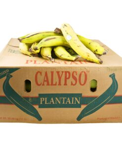 Plantain Yellow Calypso