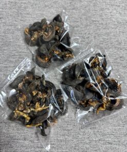 Dried medium snail 100g