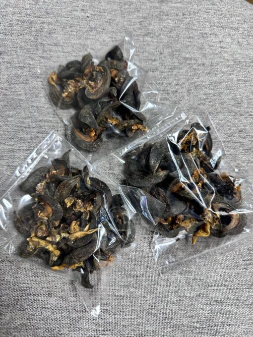 Dried medium snail 100g