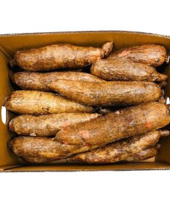 Cassava Fresh