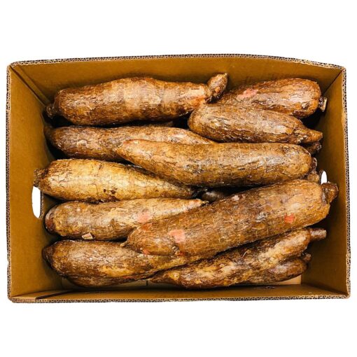 Cassava Fresh