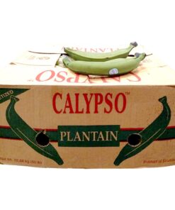 Plantain Green Calypso