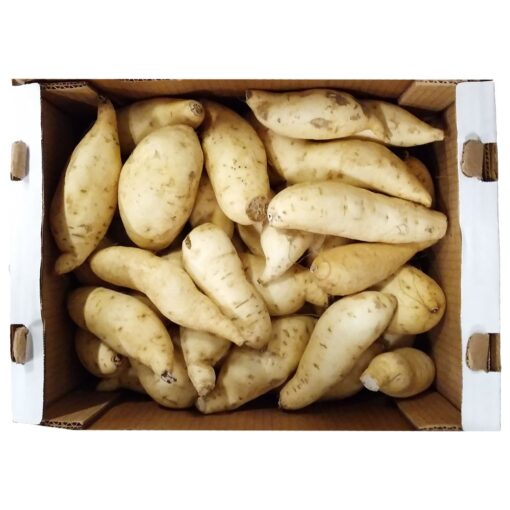 Sweet Potatoes White